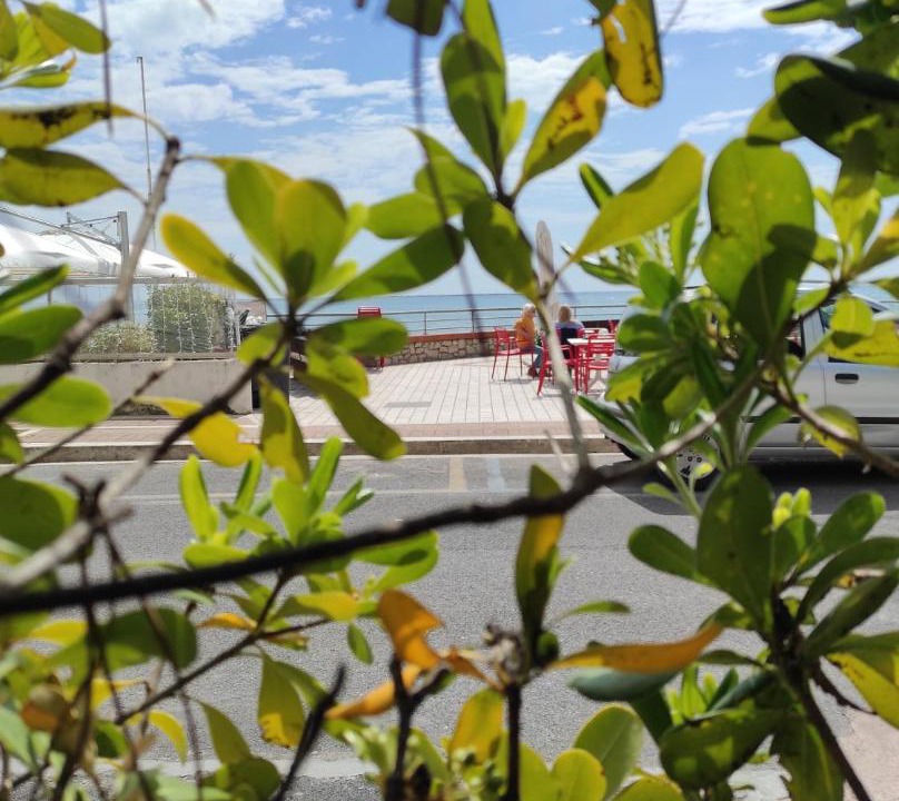 Photo of Others in Formia