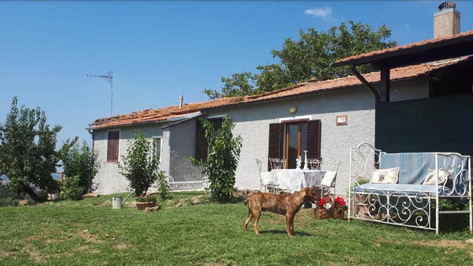 Photo of Others in Scansano