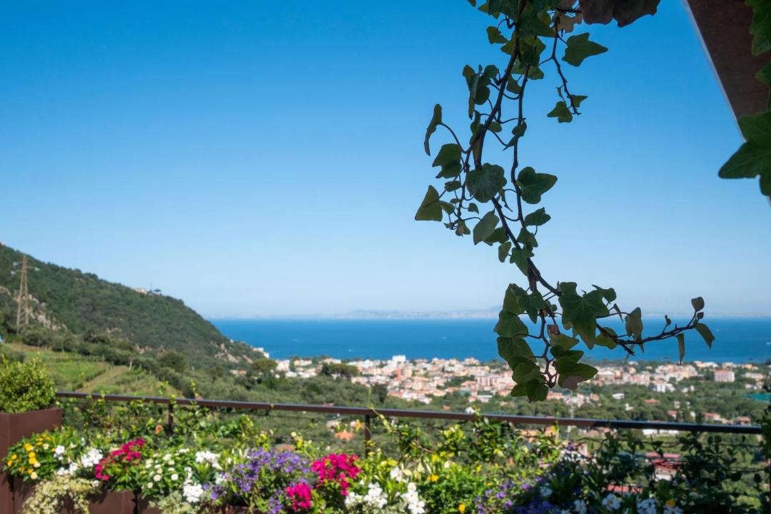 Photo of Others in Sant'Agnello
