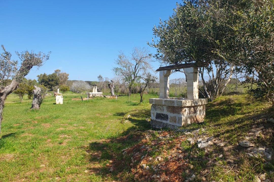 Photo of Others in Alezio
