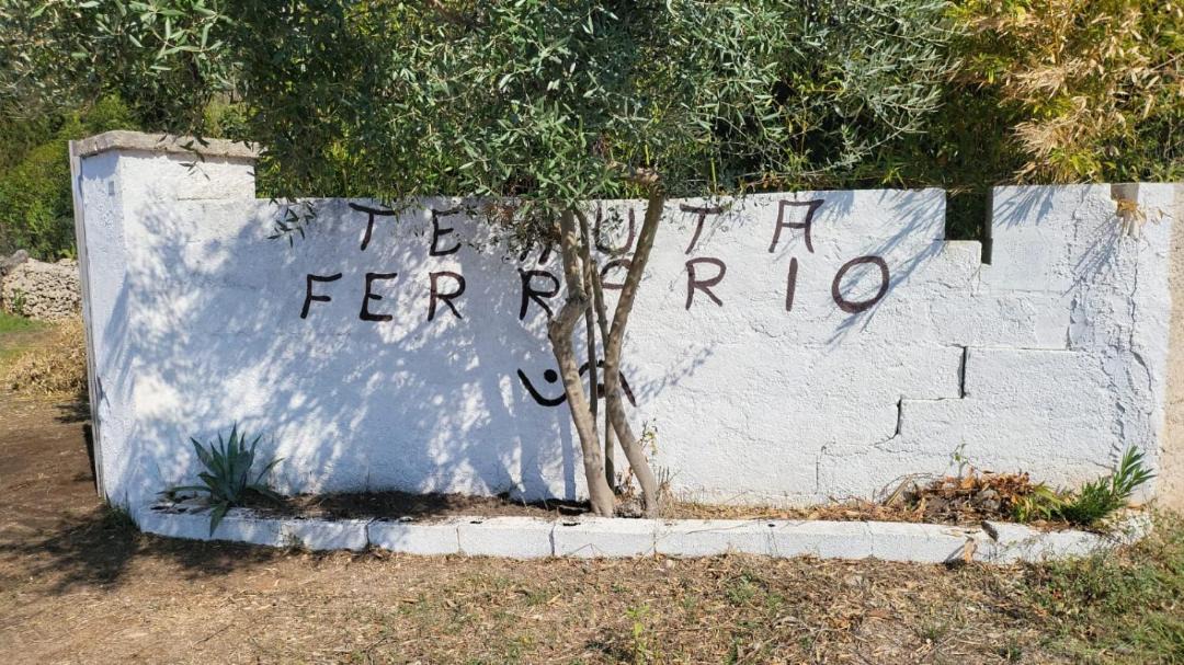 Photo of Others in Alezio