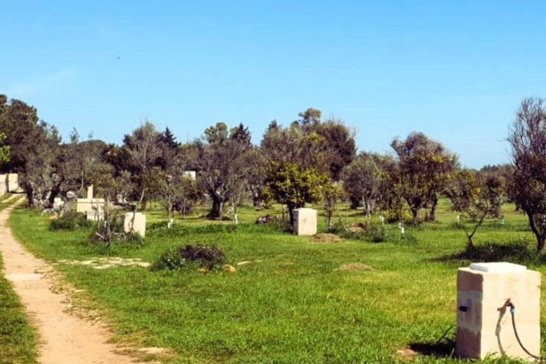 Photo of Others in Alezio