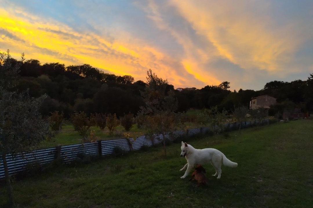 Photo of Others in Narni