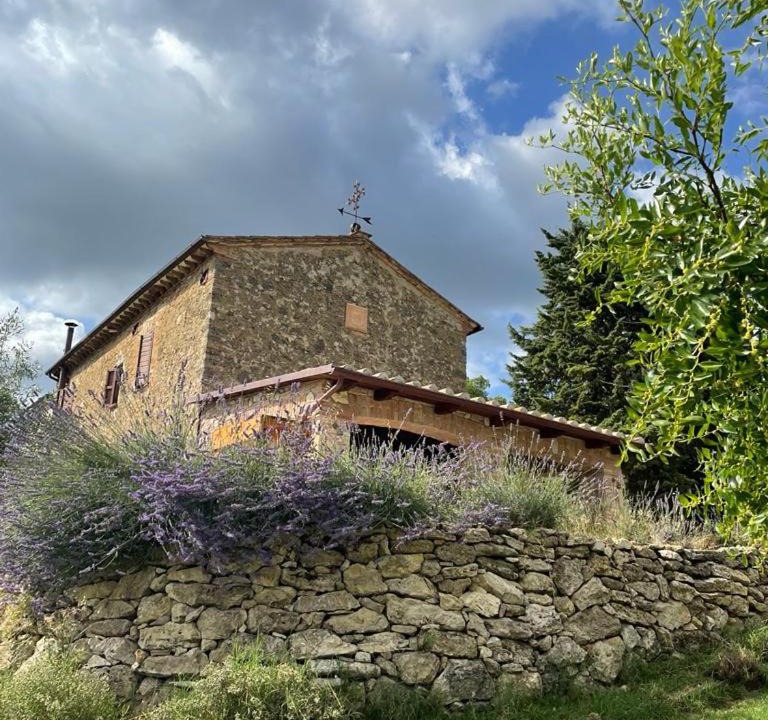 Photo of Others in Narni