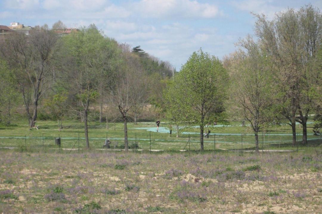 Photo of Others in Monte Sacro