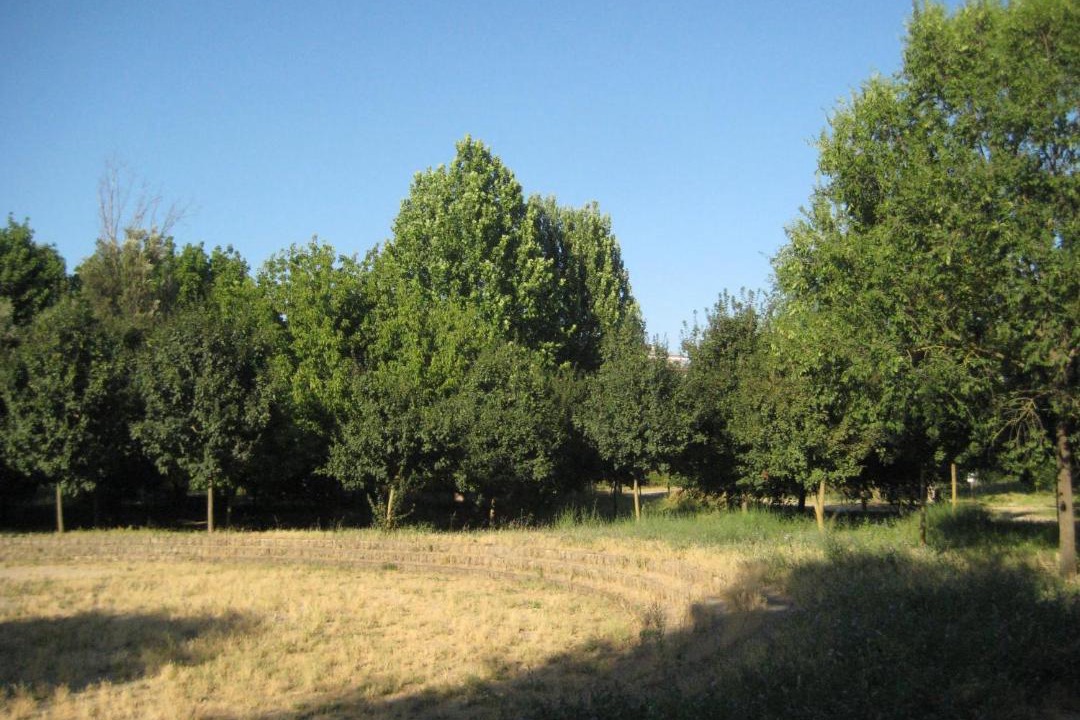 Photo of Others in Monte Sacro