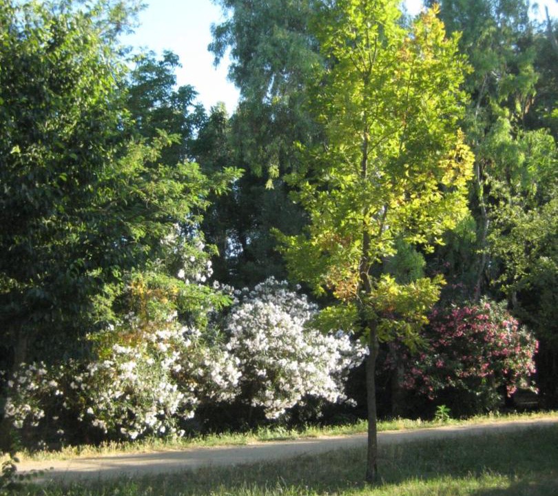 Photo of Others in Monte Sacro