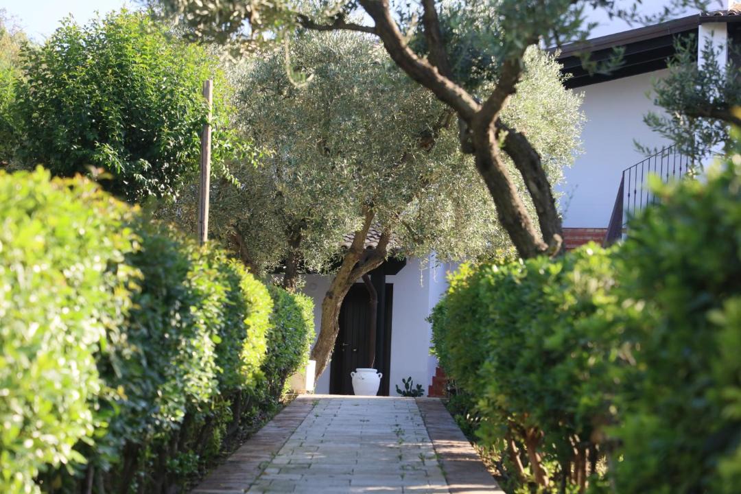 Photo of Others in Cerignola