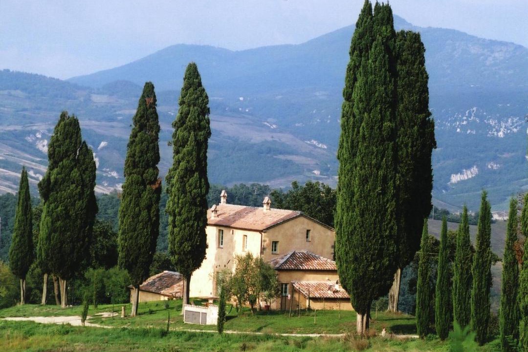 Photo of Others in Il Poggio