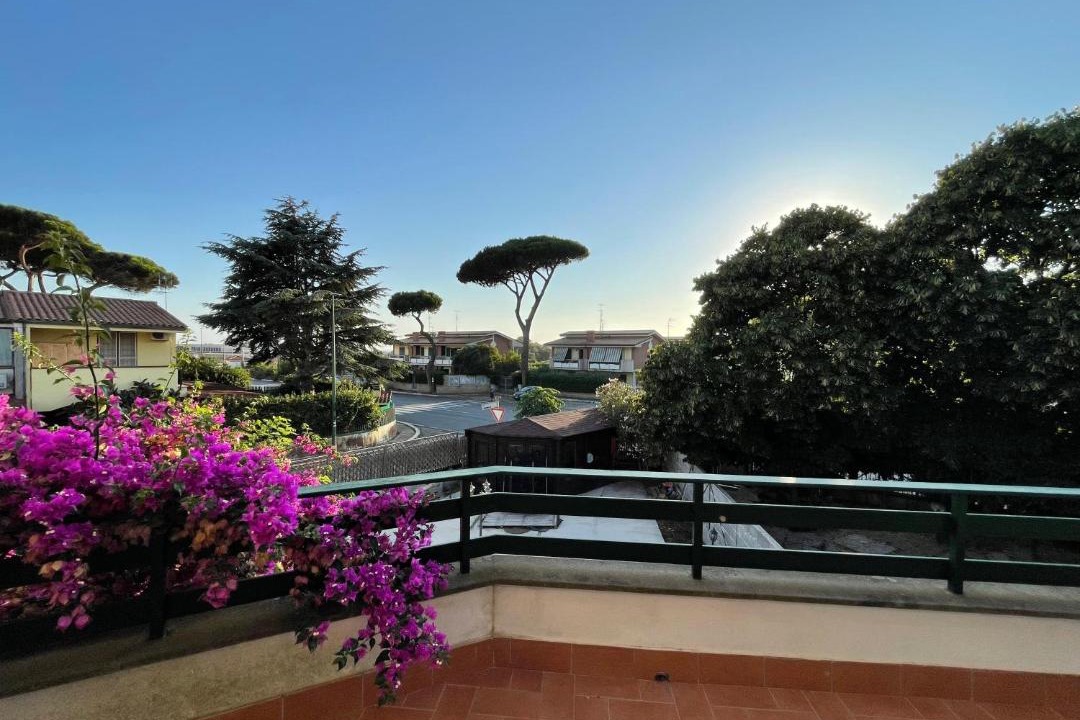 Photo of Others in Anzio