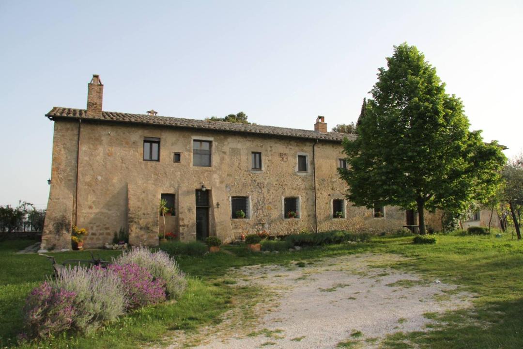 Photo of Others in Collevecchio