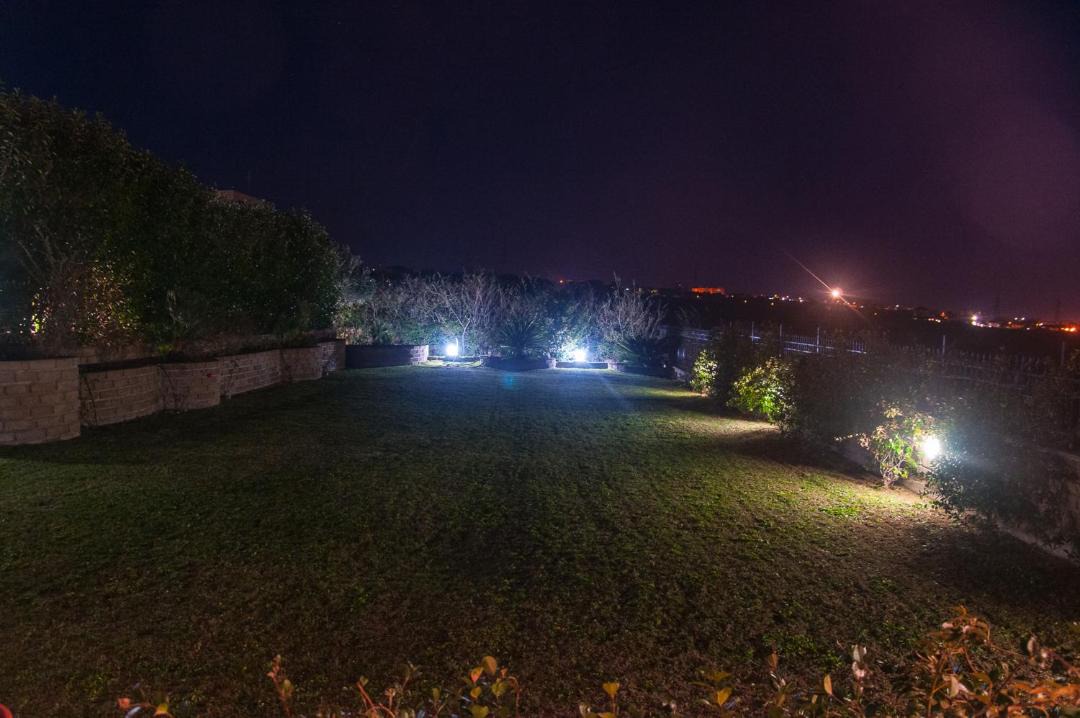 Photo of Others in Civitavecchia