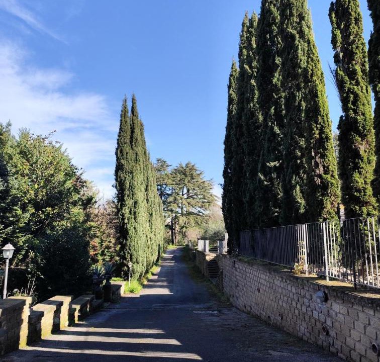 Photo of Others in Frascati