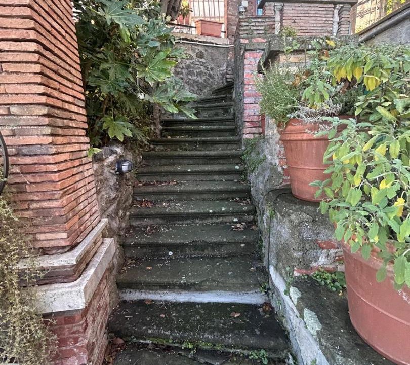 Photo of Others in Rocca di Papa