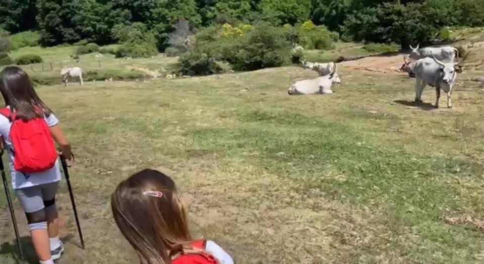 Photo of Others in Canale Monterano