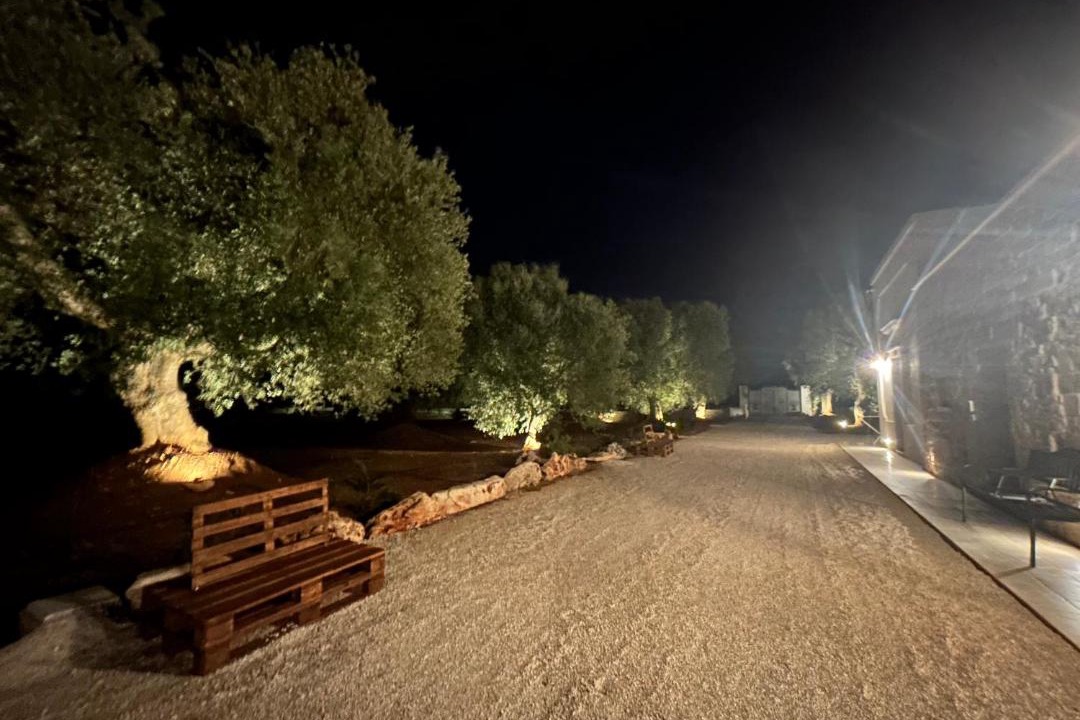 Photo of Others in Fasano