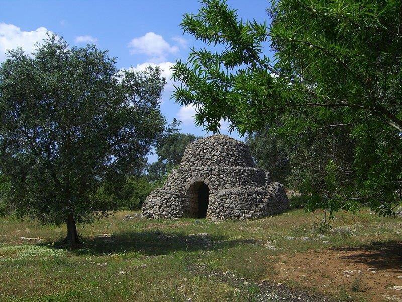 Photo of Others in Torricella