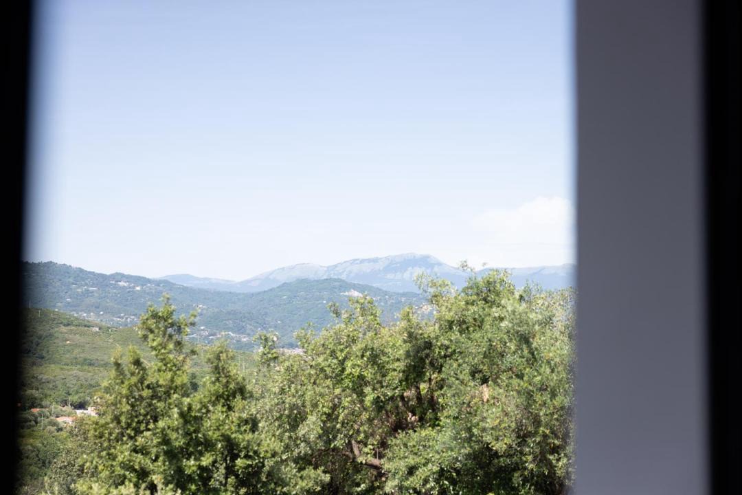 Photo of Others in Scario