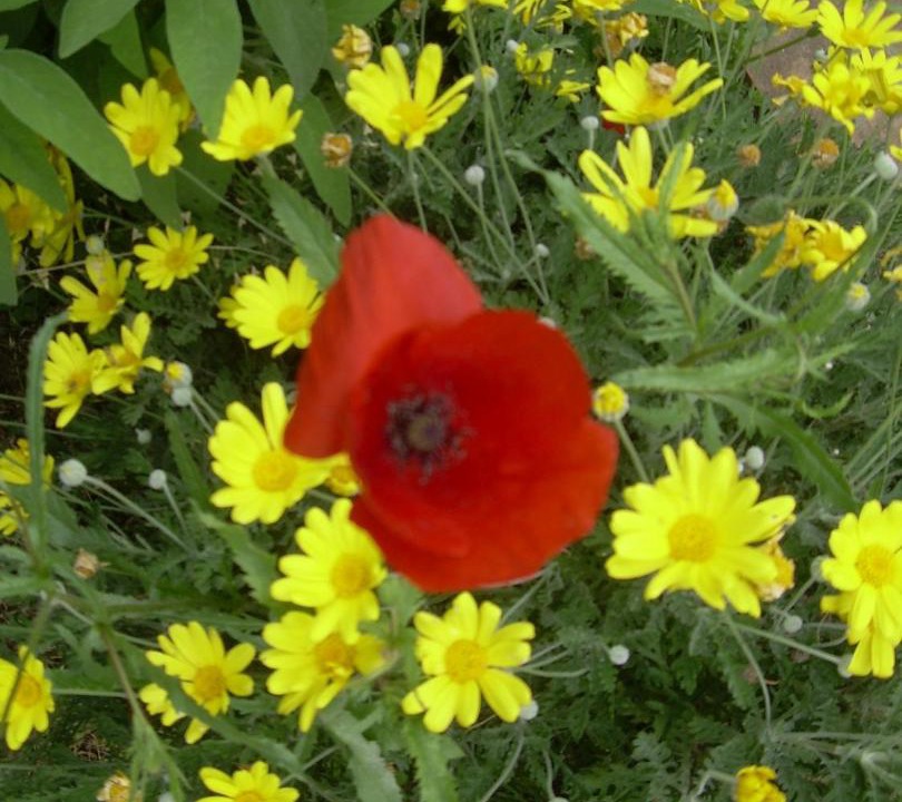 Photo of Outdoor in Catabbio