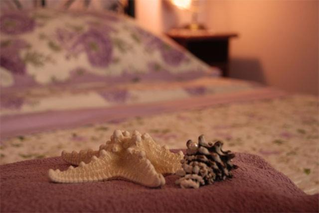 Photo of Bedroom in Ogliastro Cilento