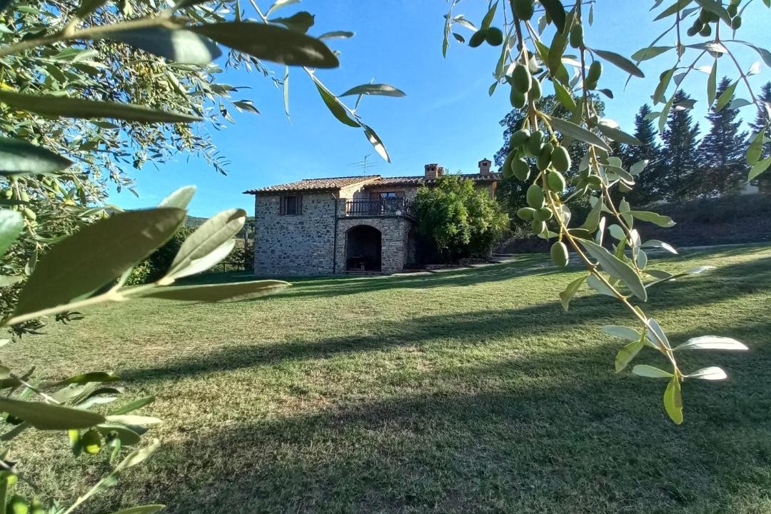 Photo of Others in Teverina di Cortona