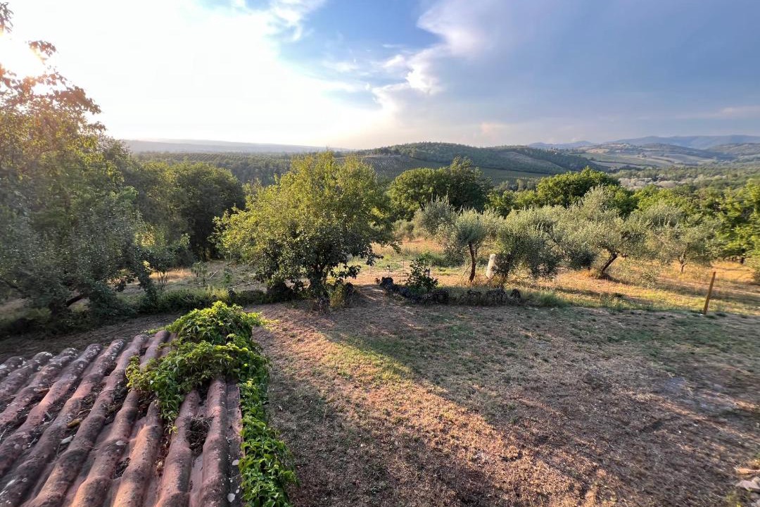 Photo of Others in Giove