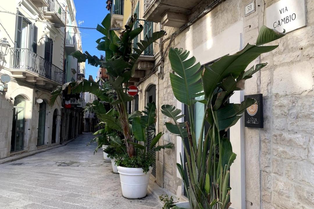 Photo of Others in Trani