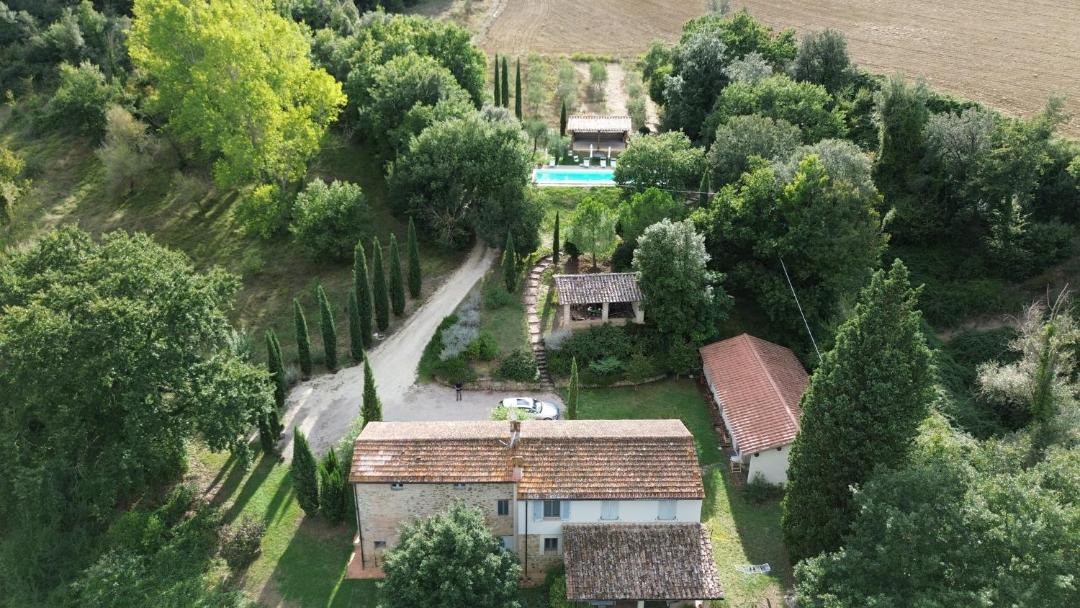 Photo of Others in Monte Vibiano Vecchio