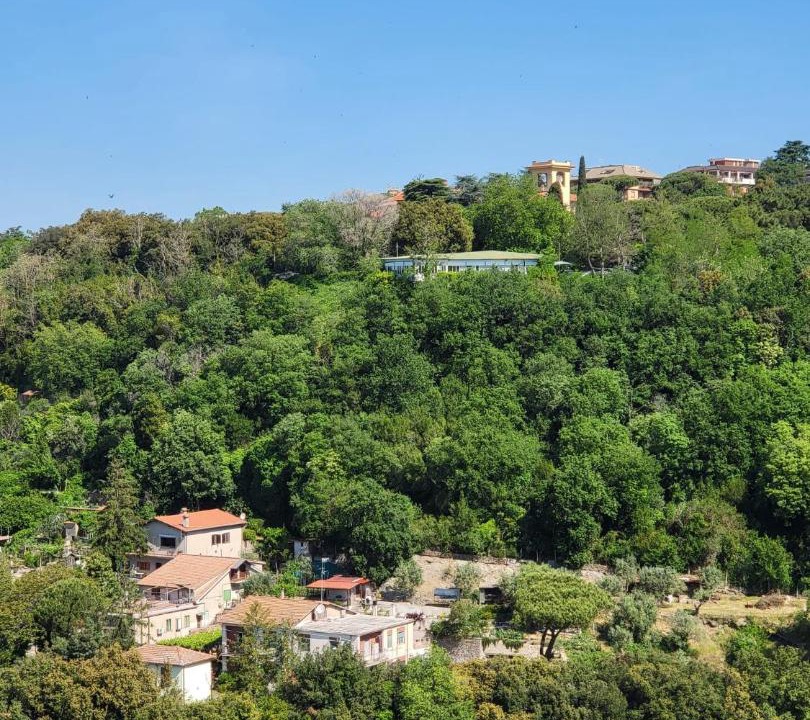 Photo of Others in Ariccia