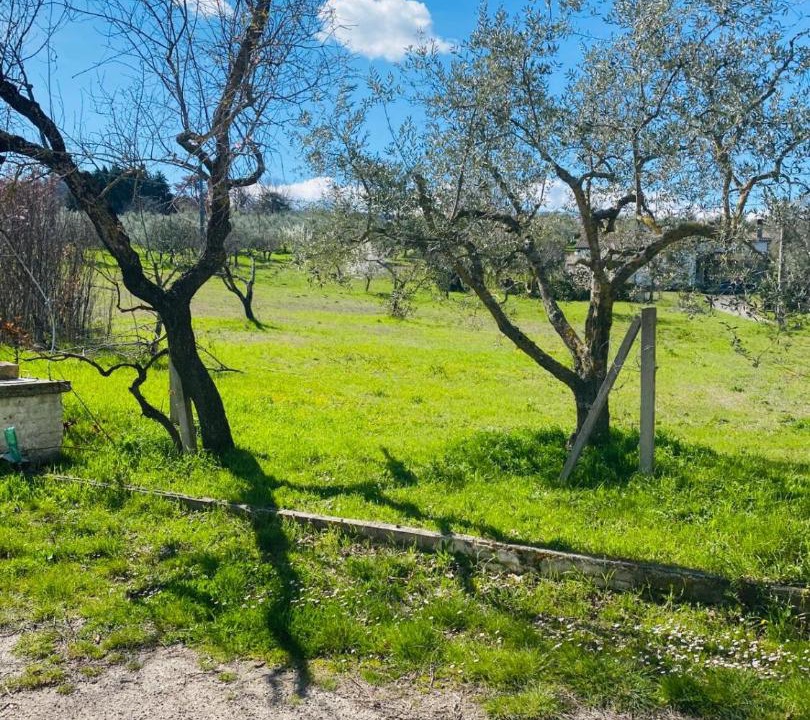 Photo of Others in Ferrazzano