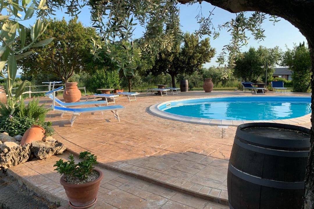 Photo of Others in Cerveteri