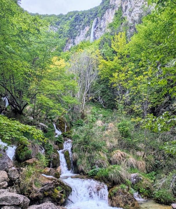 Photo of Others in Morino