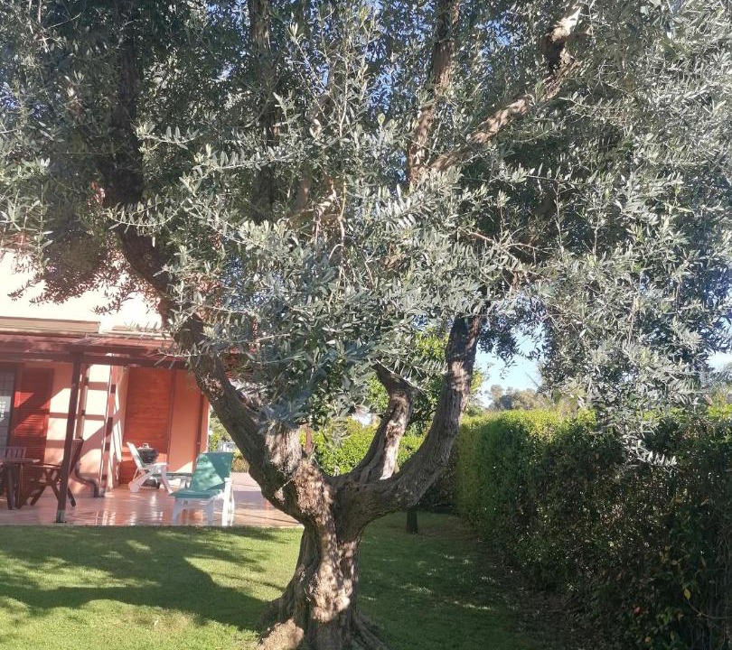 Photo of Others in Palidoro