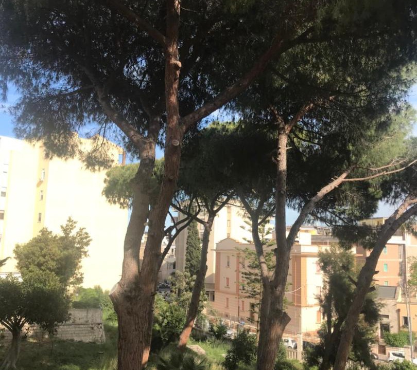 Photo of Others in Brindisi Histotic Center