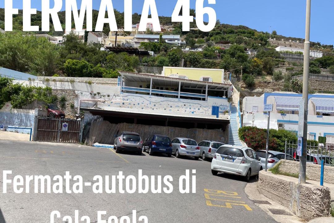 Photo of Others in Le Forna