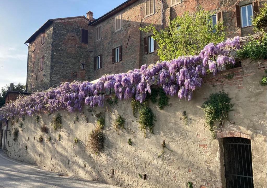 Photo of Others in Panicale