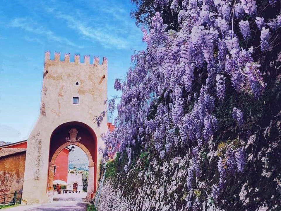 Photo of Others in Abbazia di Fossanova