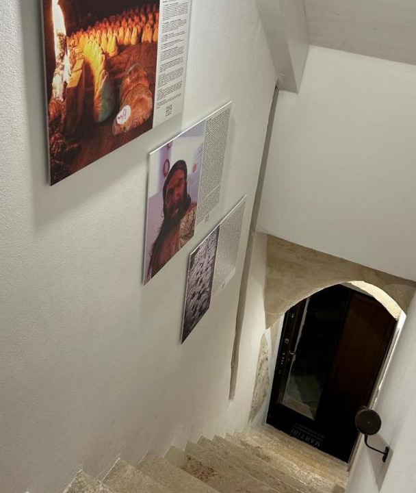 Photo of Others in Altamura