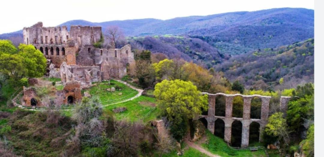Photo of Others in Canale Monterano