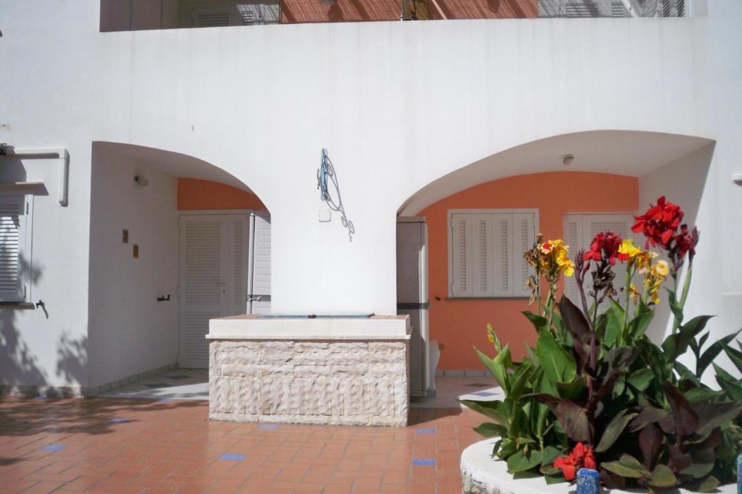 Photo of Others in Ponza