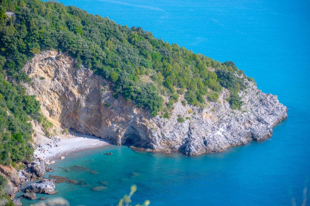 Photo of Others in Scario