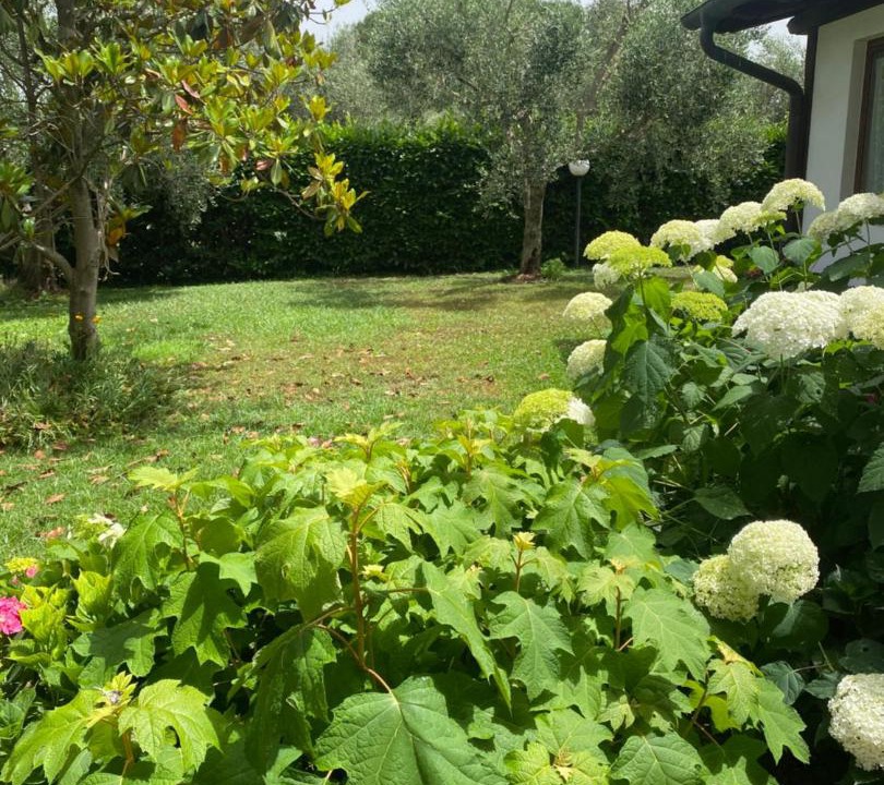Photo of Others in Fiano Romano