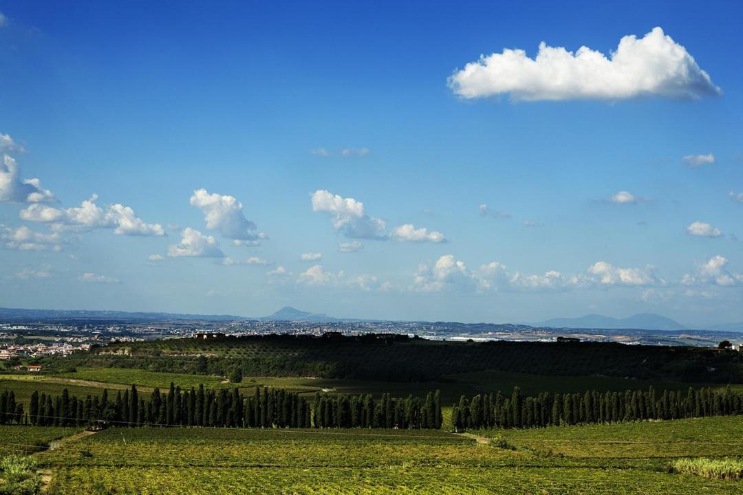 Photo of Others in Frascati