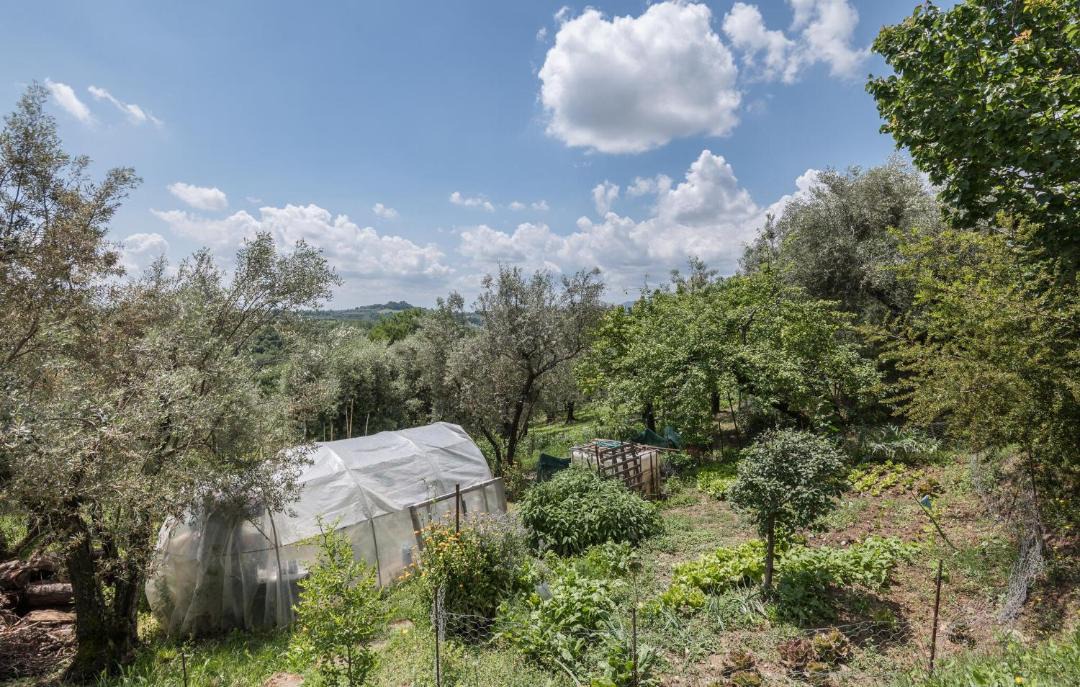 Photo of Others in Montebuono