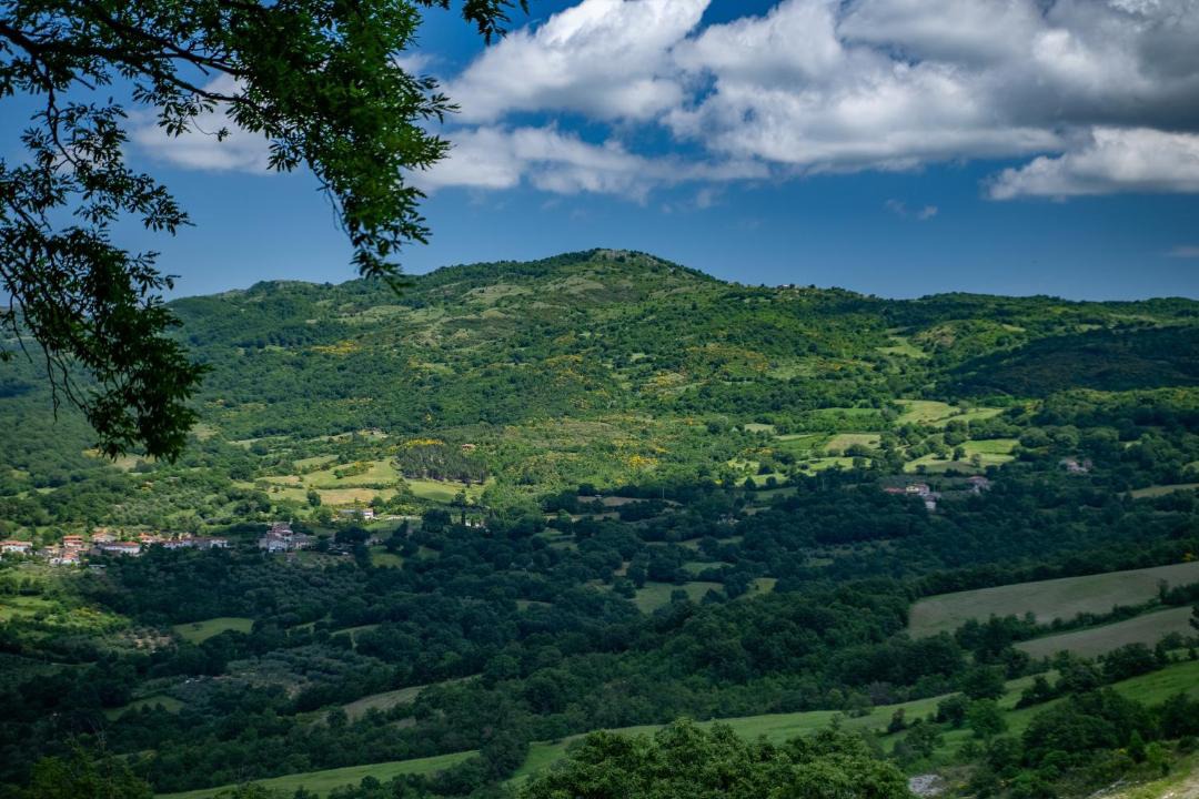 Photo of Others in Roccalbegna