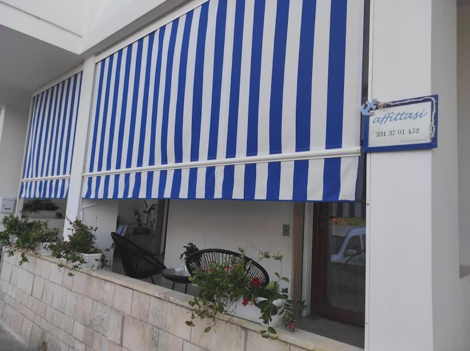 Photo of Others in Lido Conchiglie