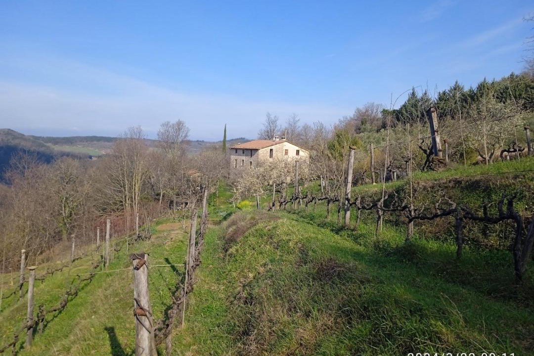 Photo of Others in Nerbisci