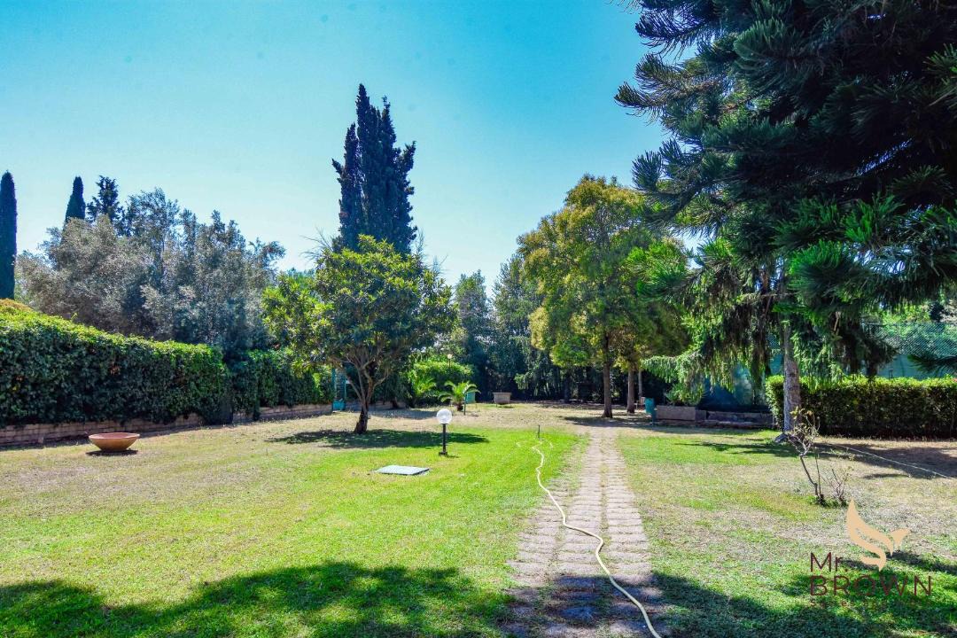 Photo of Outdoor in Aurelio