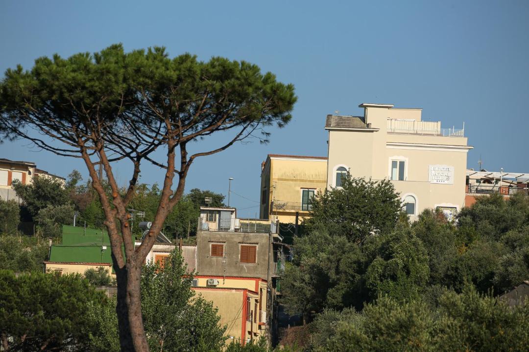 Photo of Others in San Pietro