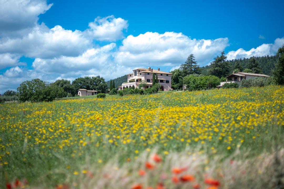 Photo of Others in Bolsena